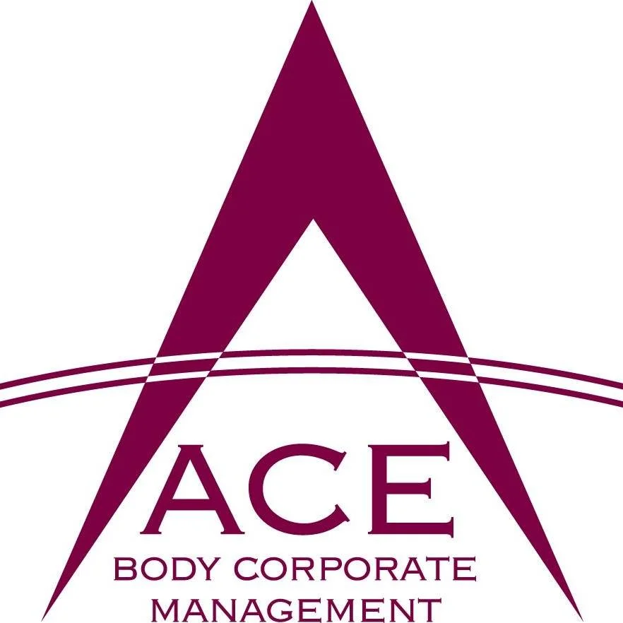 304858822_495835589216454_3740951224098601412_n